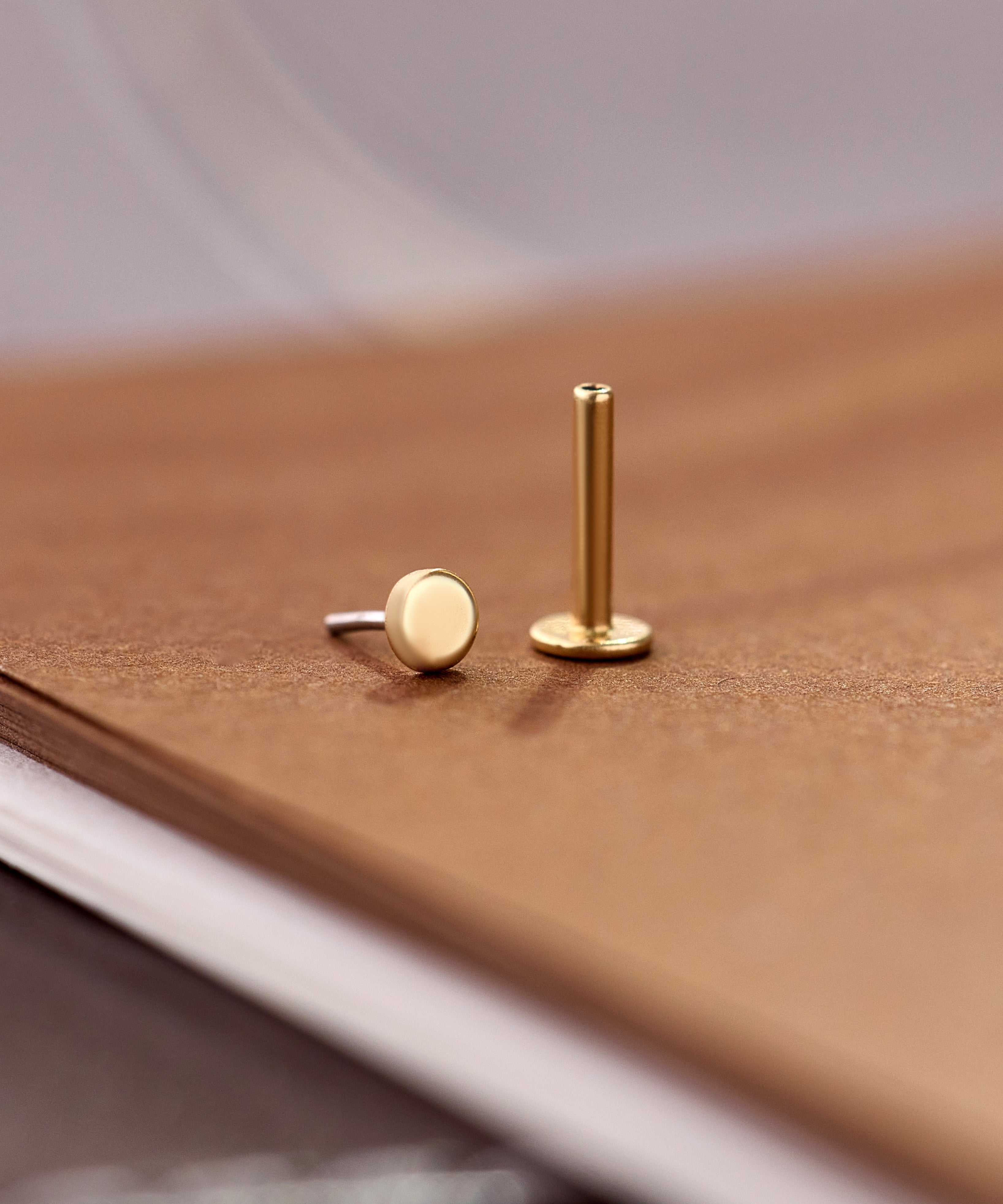 14K Gold Luna Disc Threadless Piercing