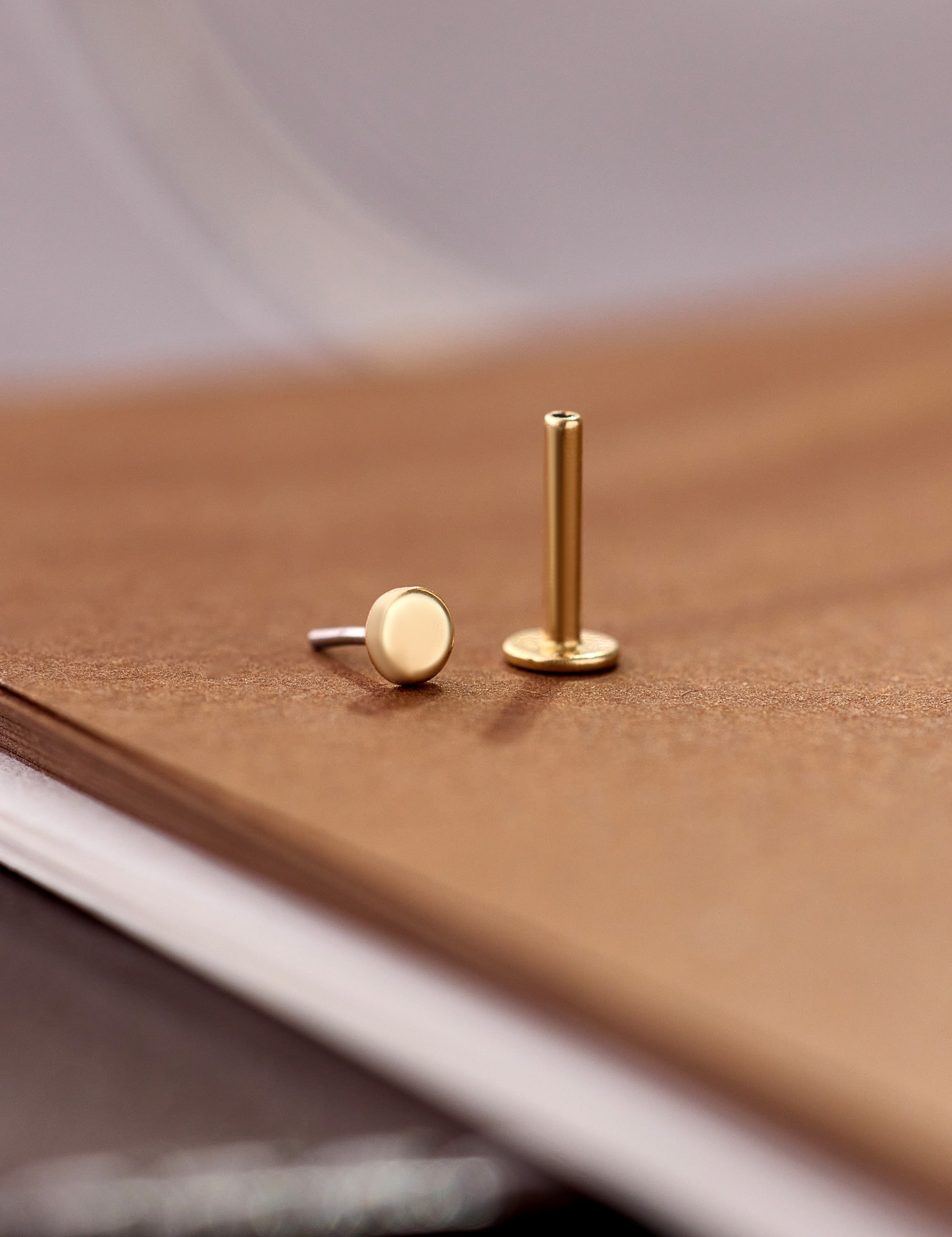 14K Gold Luna Disc Threadless Piercing