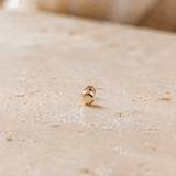 Titanium PVD Gold Faceted Cut Disc Threaded Piercing