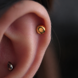 Titanium PVD Gold Faceted Cut Disc Threaded Piercing
